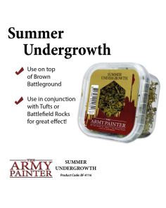 Summer Undergrowth