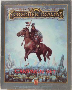 Forgotten Realms Camaign Set
